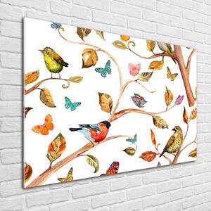 Foto-obraz na skle Ptáci a motýli osh-126221469