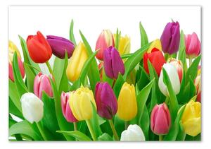 Foto-obraz fotografie na skle Barevné tulipány osh-12652067