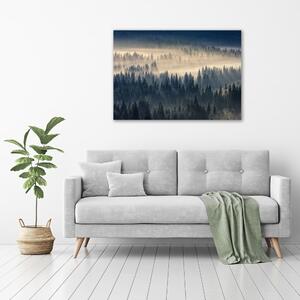 Foto obraz fotografie na skle Mlha nad lesem osh-134224571