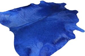 Koberec kusový hovězí kůže 4,7 m2 barvená modrá Speciální 4,0 m2 a větší
