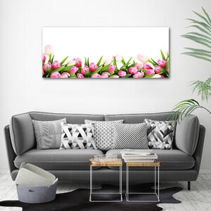 Foto obraz canvas Růžové tulipány oc-138798865