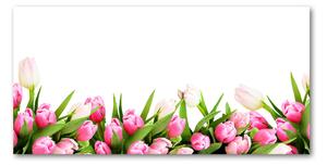 Foto obraz sklo tvrzené Růžové tulipány osh-138798865