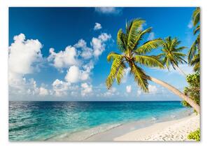 Foto obraz sklo tvrzené Maledivy pláž osh-139579212