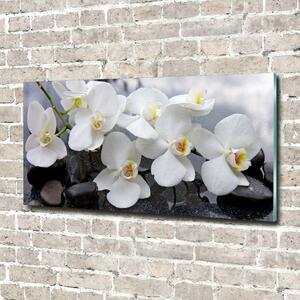 Foto obraz skleněný horizontální Orchidej osh-143985624