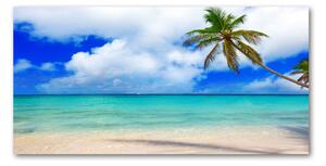 Foto obraz skleněný horizontální Karigská pláž osh-143577240