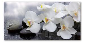 Fotoobraz na skle Orchidej osh-144310520
