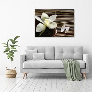 Foto obraz canvas Orchidej oc-14760003