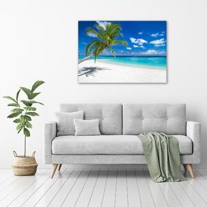 Foto obraz skleněný horizontální Tropická pláž osh-151547263