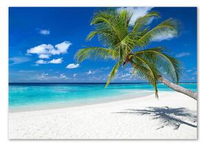 Foto obraz fotografie na skle Tropická pláž osh-158283371
