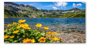 Fotoobraz na skle Jezero v horách osh-162951795
