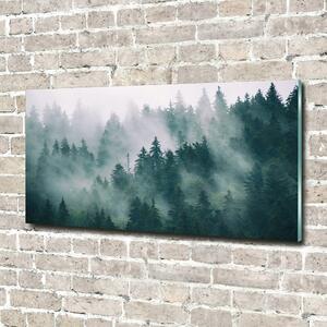 Fotoobraz na skle Mlha nad lesem osh-167720092