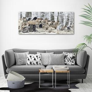 Moderní obraz canvas na rámu Vlci a zima oc-171243935