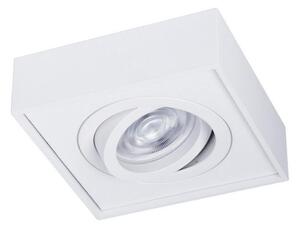 Podhledové bodové svítidlo NUSA 1xGU5,3/MR16/50W/12V hranatý bílá