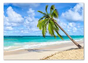Fotoobraz na skle Tropická pláž osh-178941765