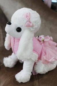 Bílý plyšový pes pudlík v růžových šatech 22 cm