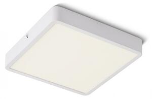 HUE SQ 22 DIMM stropní bílá 230V LED 24W 3000K - RED - DESIGN RENDL