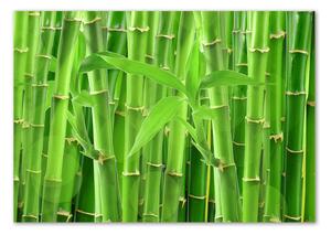 Fotoobraz na skle Bambusy osh-36350386