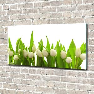 Foto obraz sklo tvrzené Bílé tulipány osh-40774643