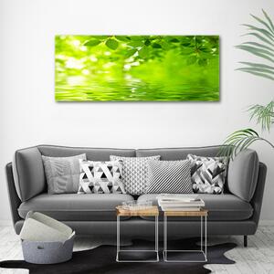 Moderní obraz canvas na rámu Zelené listí oc-41296480