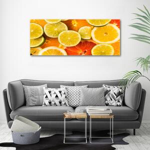 Foto obraz na plátně do obýváku Citrusové ovoce oc-41404635