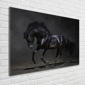 Foto obraz sklo tvrzené Černý kůň osh-47712826