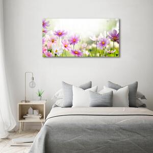 Foto obraz sklo tvrzené Květiny na louce osh-49015861
