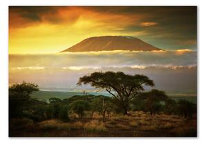 Fotoobraz na skle Kilimanjaro Kenya osh-49494611