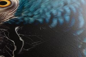 Obraz modro-zlatý papoušek - 40x60