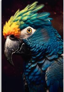 Obraz modro-zlatý papoušek - 80x120