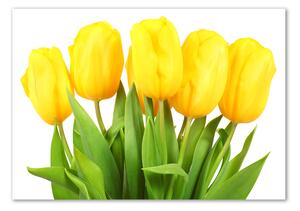 Foto-obrah sklo tvrzené Žluté tulipány osh-50296445