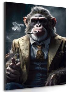 Obraz zvierací gangster opica - 40x60