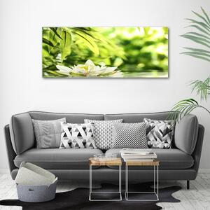 Moderní obraz canvas na rámu Vodní lilie oc-51529189