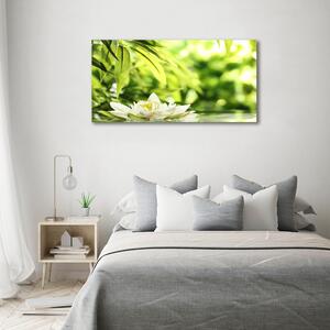 Moderní obraz canvas na rámu Vodní lilie oc-51529189