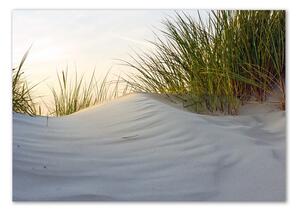 Foto obraz sklo tvrzené Mořské duny osh-51837949