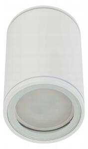 Bodové svítidlo FLARE 1xGU10/10W/230V 10 cm bílá
