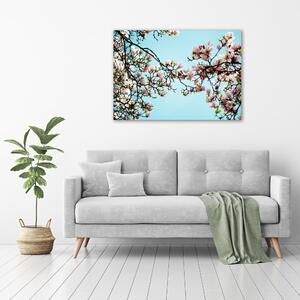 Fotoobraz na skle Květiny magnolie osh-52445180