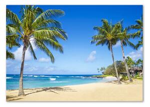 Foto obraz skleněný horizontální Tropická pláž osh-53431750