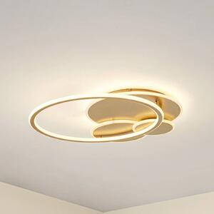 Lucande LED stropní svítidlo Circulo, zlaté, 60 cm stmívatelné, stmívatelný, Mosaz / zlato, Obývací pokoj / jídelna, kov, Moderní