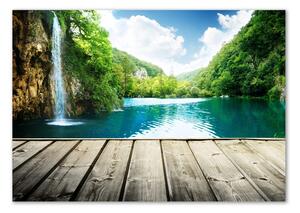 Fotoobraz na skle Vodopád v lese osh-55082996