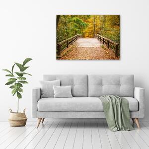 Foto obraz tištěný na plátně Most v lese podzim oc-55256739