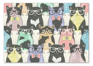 Foto-obraz na skle Kočky v brýlích osh-58024892