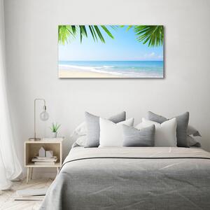 Fotoobraz na skle Tropická pláž osh-5838209