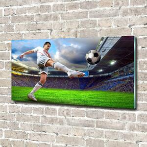 Moderní foto obraz na stěnu Fotbalista na stadioně osh-58974143