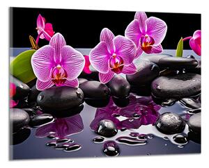Moderní obraz Orchideje a černé kameny