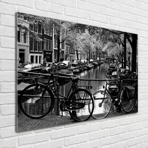 Fotoobraz na skle Kola Amsterdam osh-5974045