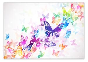 Foto obraz sklo tvrzené Barevní motýli osh-60051667