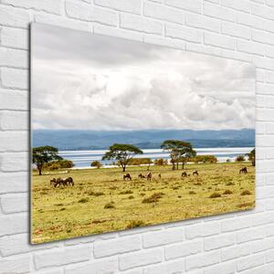 Foto obraz fotografie na skle Jezero Naivasha osh-60219348