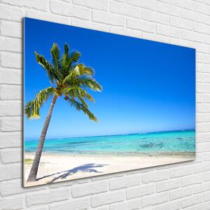 Fotoobraz na skle Tropická pláž osh-60645814
