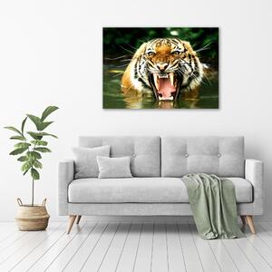 Fotoobraz na skle Řvoucí tygři osh-609474