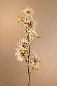 Paramit DRY MINI XANTHIUM Aranžovací květina 53 cm krémová